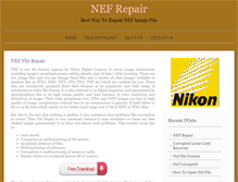 Tablet Screenshot of nefrepair.com